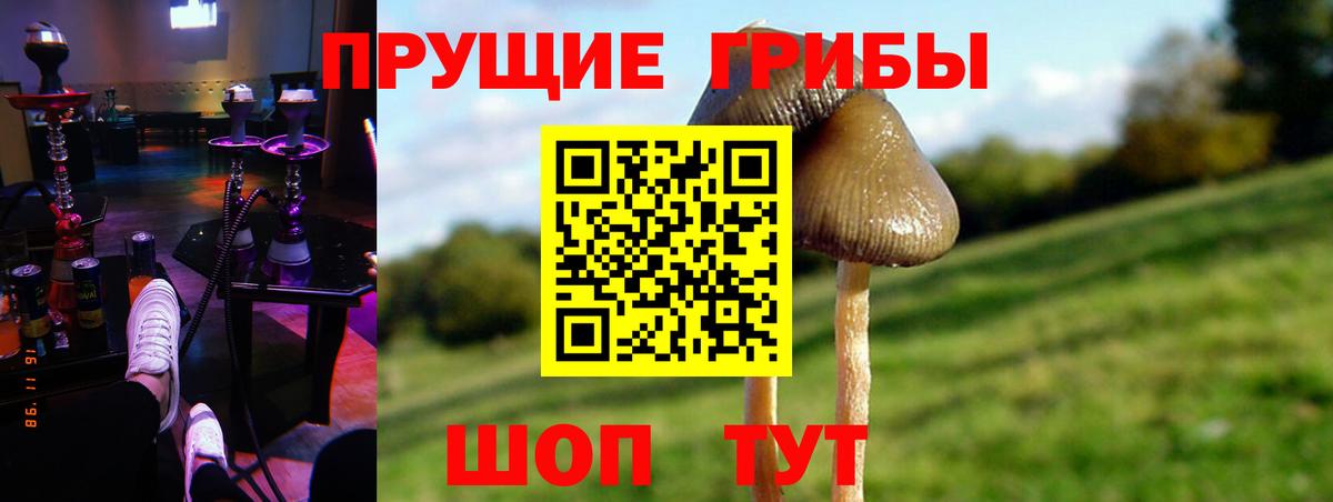 Псилоцибиновые грибы Magic Shrooms  Вход с VPN  Котовск  как найти закладки  Псилоцибиновые грибы MAGIC MUSHROOMS 